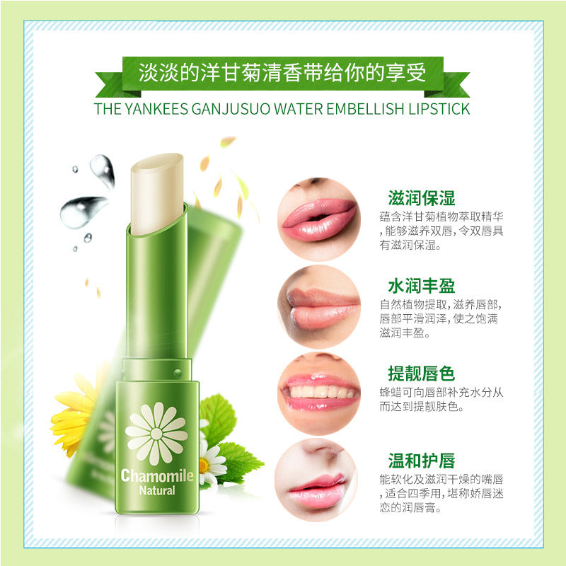Natural Aloe Moisturizing Lip Balm Colorless Refine repair lip wrinkles For Winter Lip Care