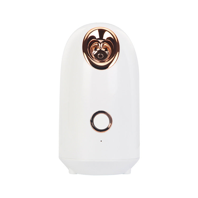 New hot and cold spray facial steamer, home beauty instrument facial steamer, hydrating, moisturizing and rejuvenating sprayer