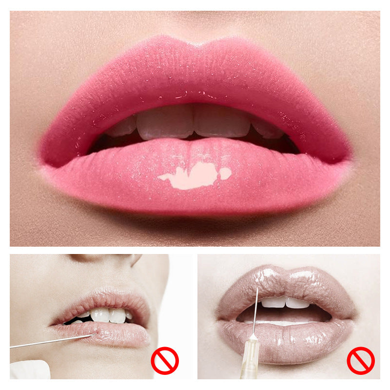 Natural transparent lip plumping enhances lip elasticity and dilutes lip lines lip plumping oil
