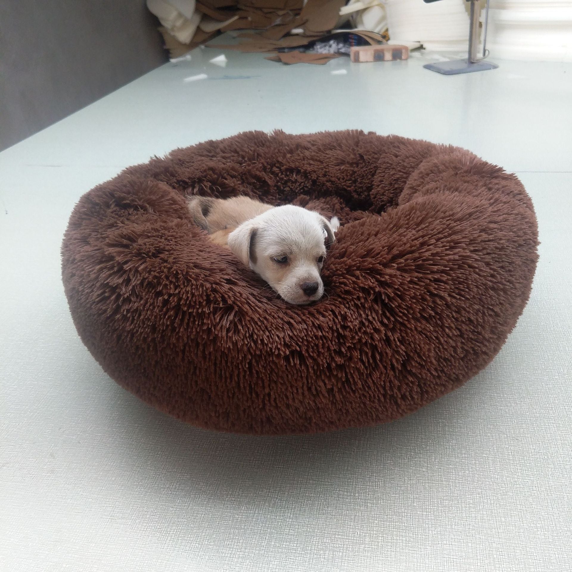 Orthopedic Dog Bed Comfortable Donut Cuddler Round Dog Bed Ultra Soft Washable Dog and Cat Cushion Pet Bed Cama Para Cachorro