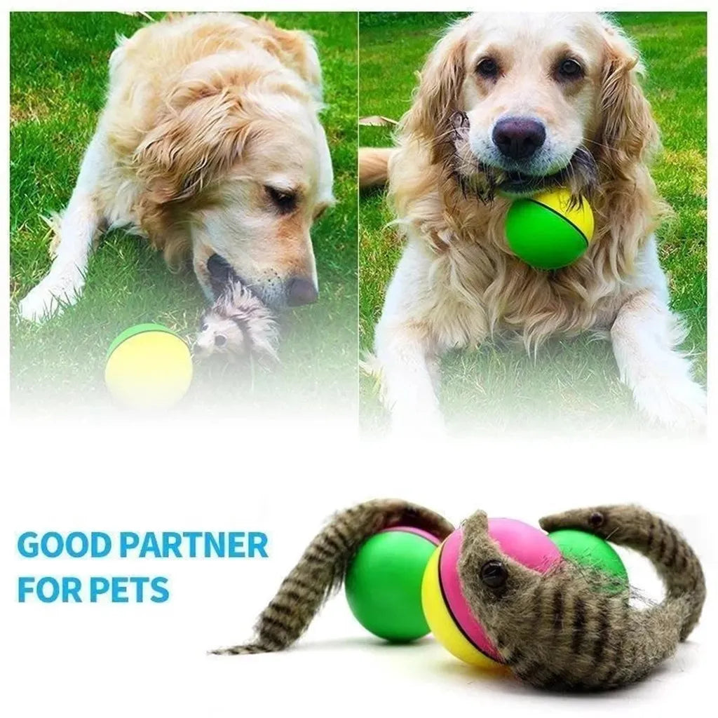 Pet Dog Cat Toys Electric Beaver Weasel Toy Rolling Jump Balls Toys For Dog Cat Puppy Dogs Funny Moving Toys pet Supplies