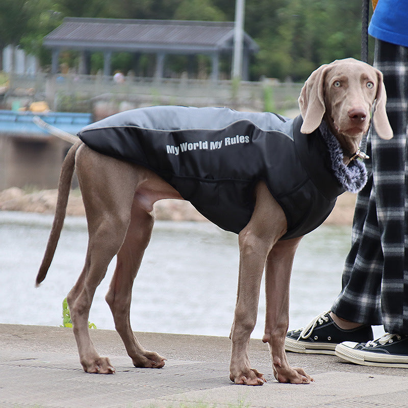 new pet clothes, warm autumn and winter pet jackets, outdoor plus cotton dog clothes, pet supplies